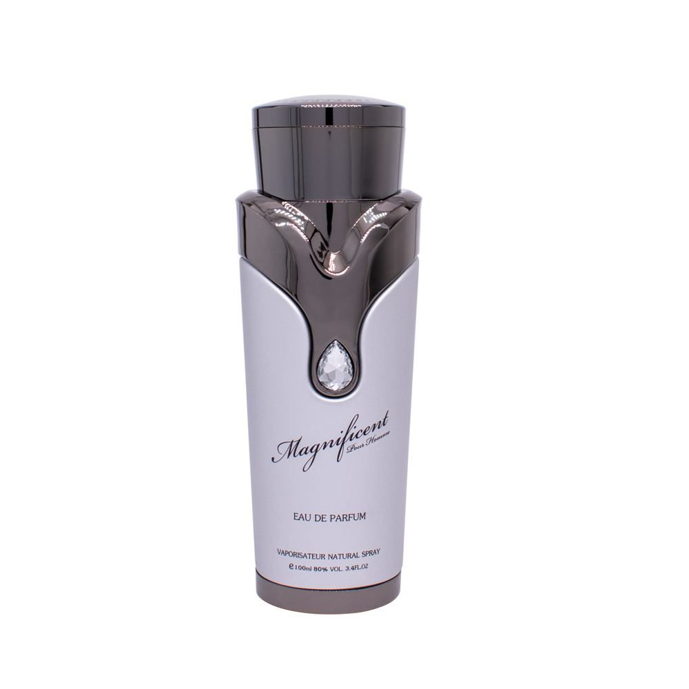 Armaf, Magnificent, Eau De Parfum, For Men, 100 ml